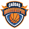 https://img.werrimedia.com/img/basketball/team/8b1e25c5d2bd93d0accfbaba14185f05.png