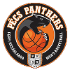 https://img.werrimedia.com/img/basketball/team/910780fe6318e85fae4659d07270bc25.png