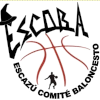 https://img.werrimedia.com/img/basketball/team/95ca2fba7a544d09120be3047cd05bc7.png