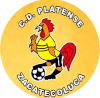 https://img.werrimedia.com/img/football/team/63b0933cc303927659846a4ed54b1522.png