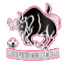 https://img.werrimedia.com/img/football/team/97c3ef30cac48cadff97605e387feefa.png