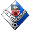 https://img.werrimedia.com/img/football/team/9bbddc3094f6c80a766e3c3eea4e5876.png